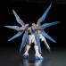 00-61617 RG Strike Freedom Gundam Z.A.F.T. Mobile Suit ZGMF-X20A