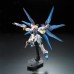 00-61617 RG Strike Freedom Gundam Z.A.F.T. Mobile Suit ZGMF-X20A