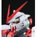 00-63544 1/60 PG Perfect Grade: MBF-P02 Gundam Seed Astray Red Frame