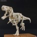 00-64262 PLANNOSAURUS TYRANNOSAURUS MODEL KIT