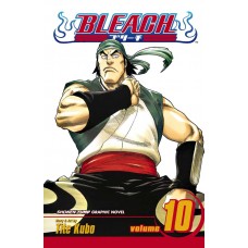 Bleach, Vol. 10: Tattoo on the Sky