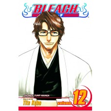 Bleach, Vol. 12: Flower on the Precipice