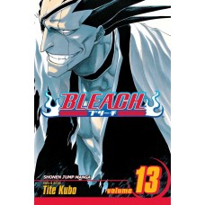 Bleach, Vol. 13: The Undead