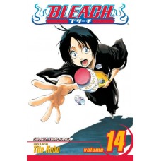 Bleach, Volume 14: White Tower Rocks