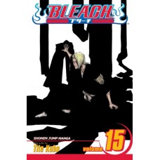 Bleach, Volume 15: Beginning of the Death of Tomorrow