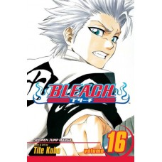 Bleach, Volume 16: Night of Wijnruit