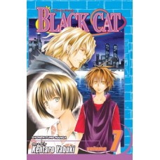 Black Cat, Vol. 7