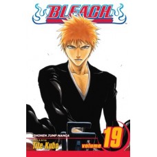 Bleach, Vol. 19