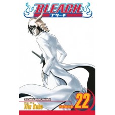 Bleach, Vol. 22