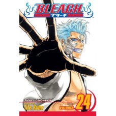 Bleach, Vol. 24