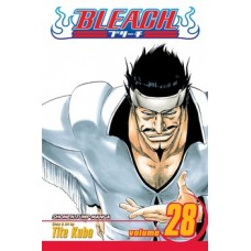 Bleach, Vol. 28