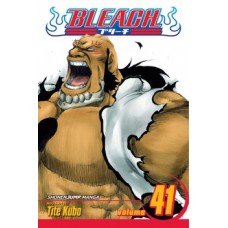 Bleach, Vol. 41