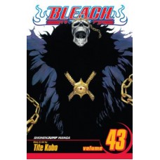 Bleach, Vol. 43