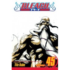 Bleach, Vol. 45