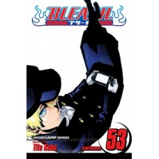 Bleach, Vol. 53