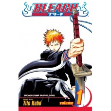 Bleach, Vol. 1