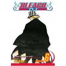 Bleach, Vol. 6