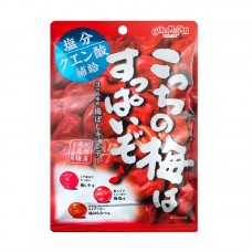 0X-10348 Senjaku Candy Land Mixed Plum (Ume) Candy  2.8 Oz (80 g)