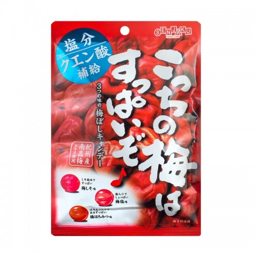 0X-10348 Senjaku Candy Land Mixed Plum (Ume) Candy 2.8 Oz (80 g)