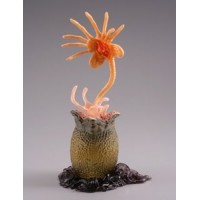 CM-08024 Kaiyodo Capsule Q Characters Alien Figures Anthology 01 - Alien First Form Face Hugger 