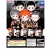 01-85180 Haikyu!! Deformed Figure Series Side-A Version Mini Figure Collection 400y - Set of 5